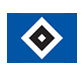 HSV