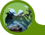 Greenpeace